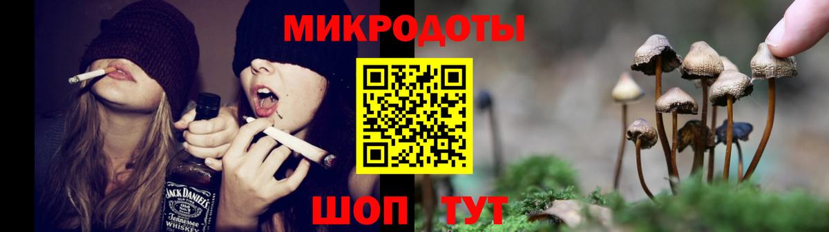 Канск  Псилоцибиновые грибы прущие грибы  Галлюциногенные грибы Psilocybe  купить наркотики цена  Вход с VPN 